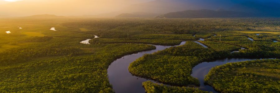 Amazon River Cruises